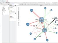 004_Microstrategy_Analytics_Desktop_Network_Graph_Freakalytics